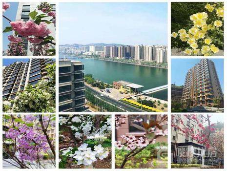丽景华庭