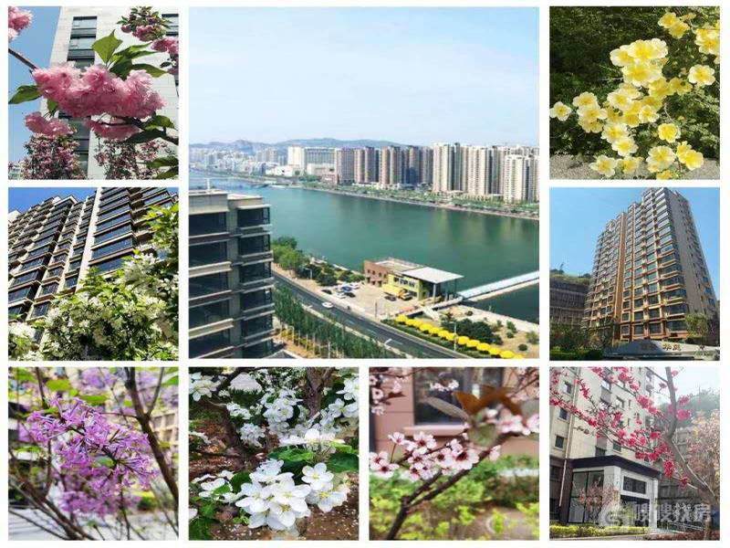 丽景华庭