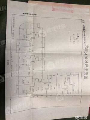 中兴路小区2室2厅1卫80㎡