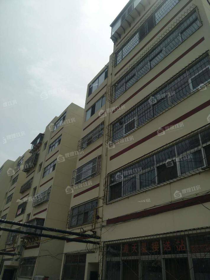 迎宾小学宿舍楼3室2厅1卫104㎡