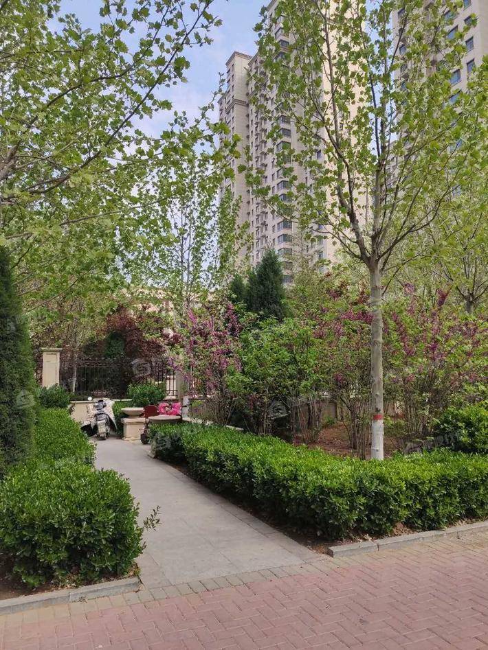 凤凰城(b区)租房,4室1厅,河北省沧州市运河区永安南大道,沧州运河区