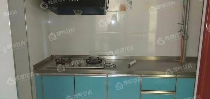 凤凰城（B区）2室2厅1卫90㎡