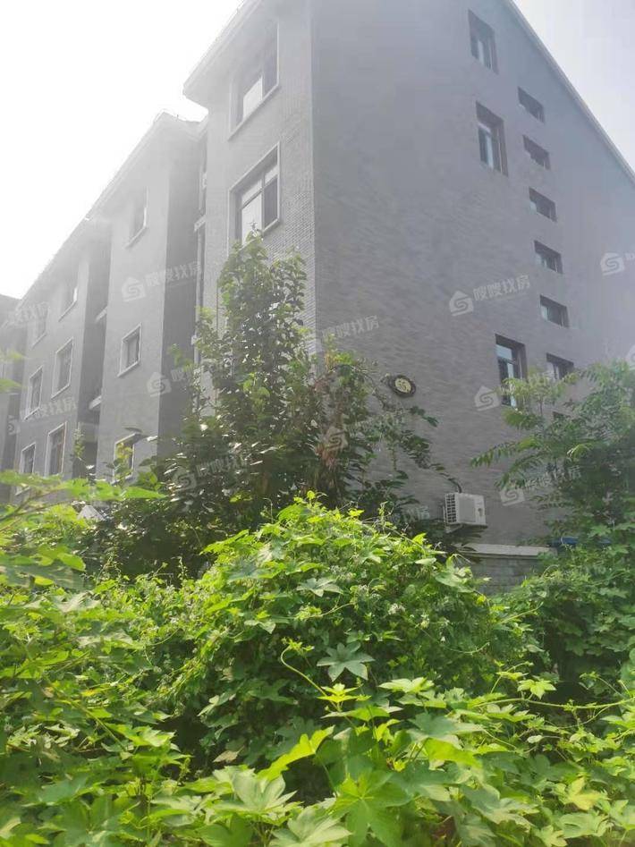 万泰豪景4室2厅2卫204㎡