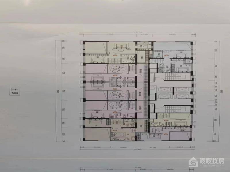 中电世纪公园