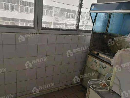 市社小区3室2厅1卫120㎡