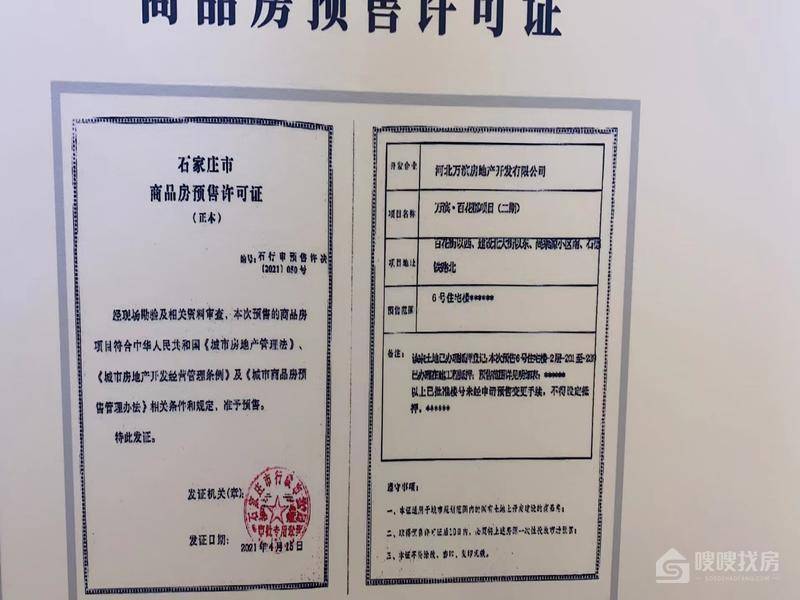 万滨天锦