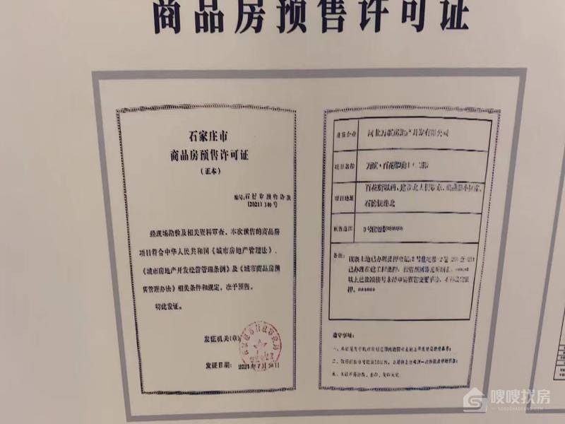 万滨天锦
