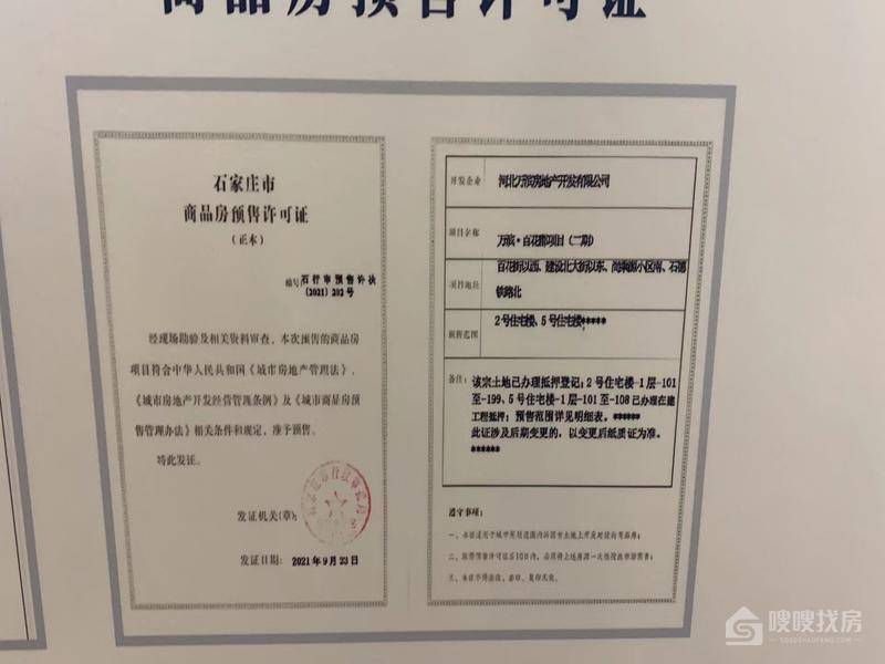 万滨天锦