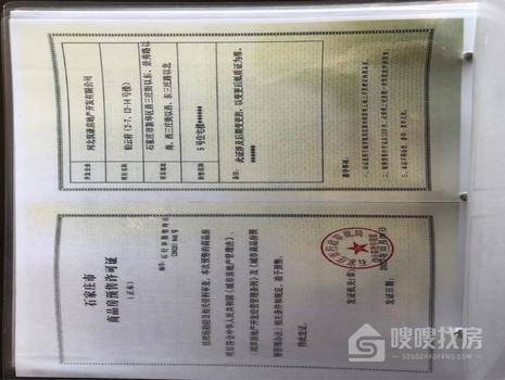 铂云府