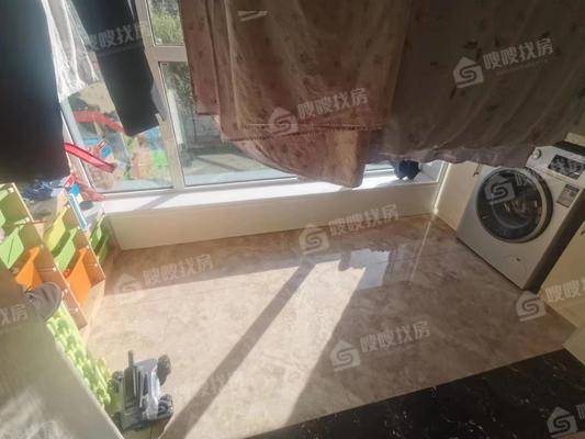 天成明月洲东区4室2厅3卫235㎡