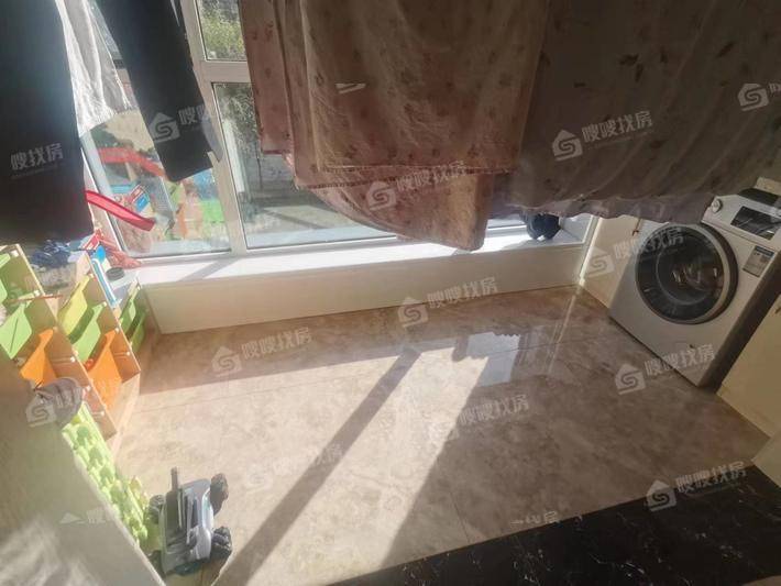 天成明月洲东区4室2厅3卫235㎡