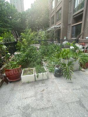 恒大城（商品房）2室2厅1卫85㎡