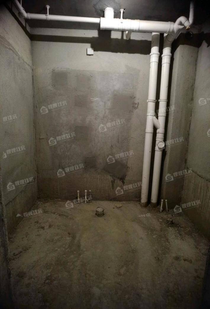 天成明月洲西区5室3厅3卫287㎡