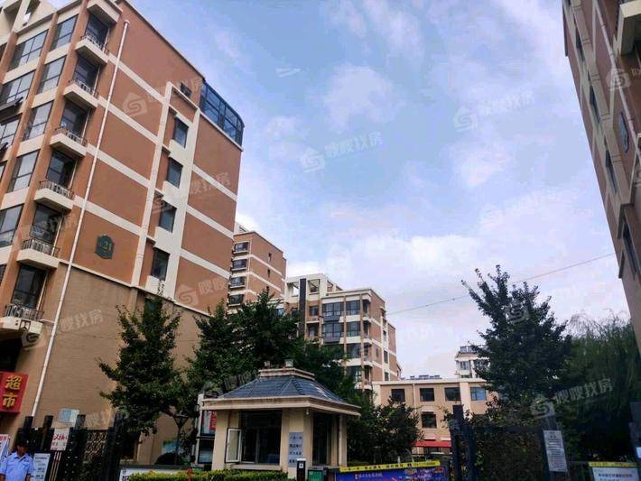 孔雀城B区3室2厅1卫100㎡