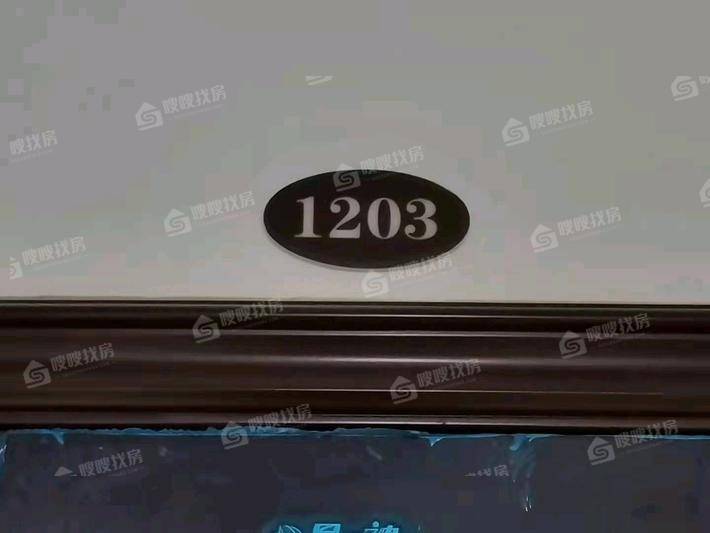泰合星耀城2室2厅1卫82㎡