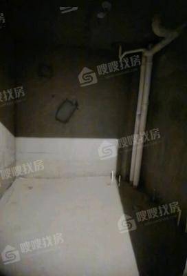 天成明月洲西区5室3厅3卫287㎡