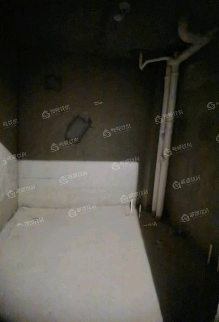 天成明月洲西区5室3厅3卫287㎡