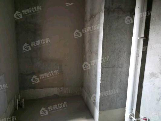 天成明月洲西区5室2厅2卫220㎡