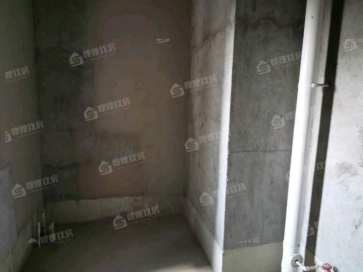 天成明月洲西区5室2厅2卫220㎡
