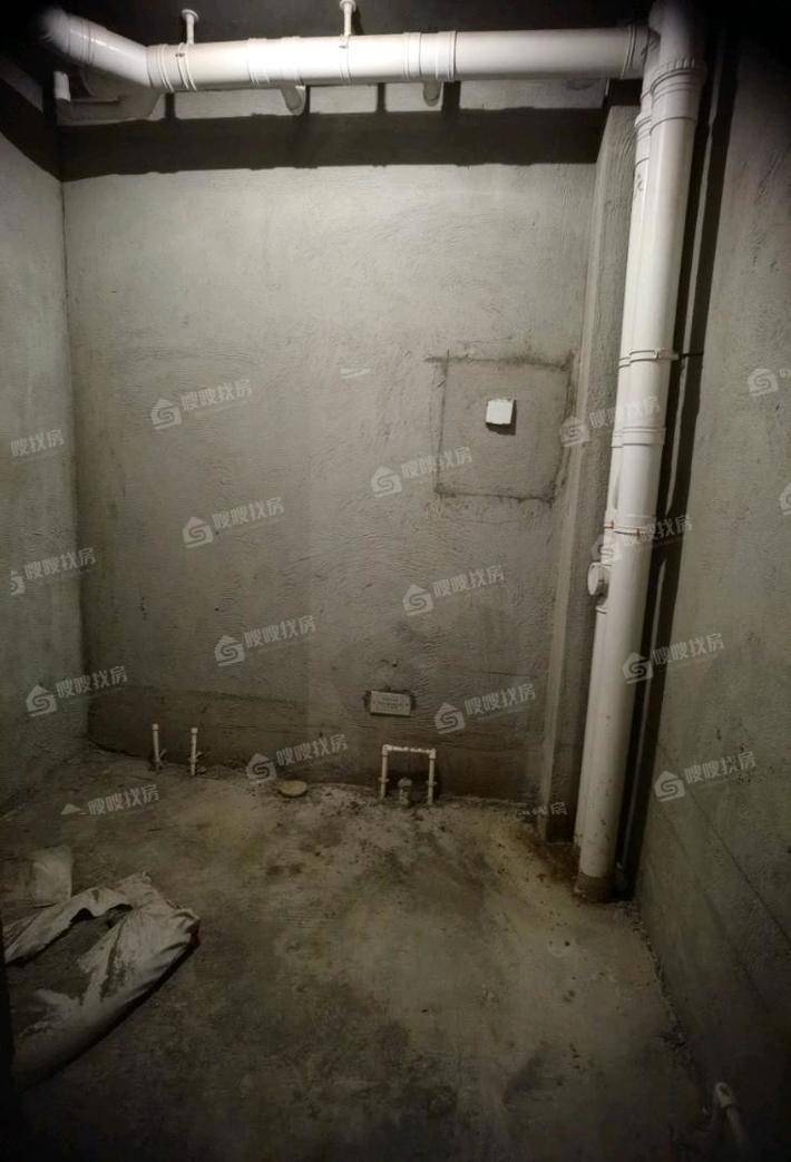 天成明月洲西区5室3厅3卫287㎡