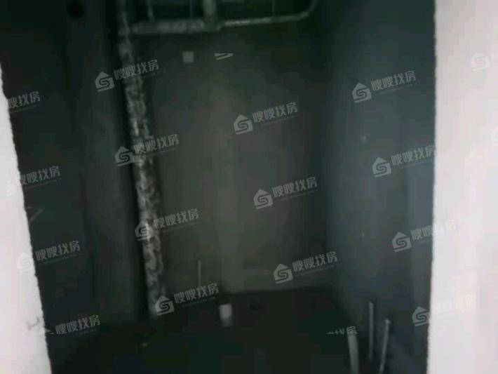 泰合星耀城2室2厅1卫82㎡
