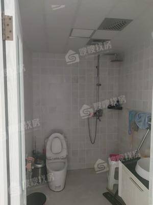 天成明月洲东区5室3厅3卫240㎡