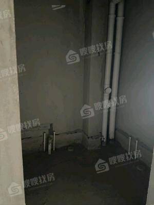 天成明月洲东区2室2厅1卫90㎡