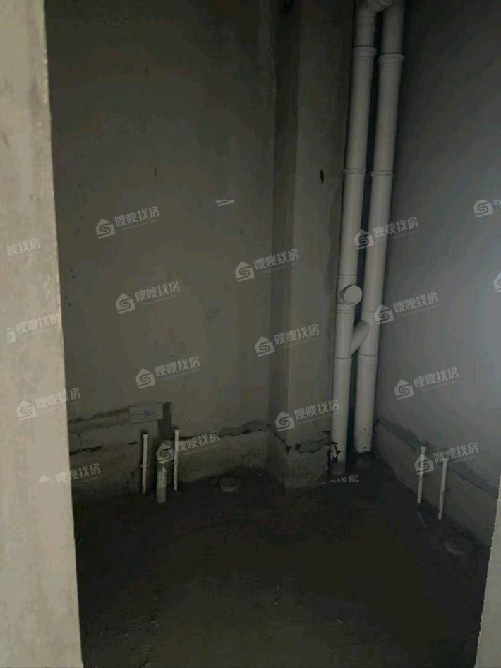 天成明月洲东区2室2厅1卫90㎡