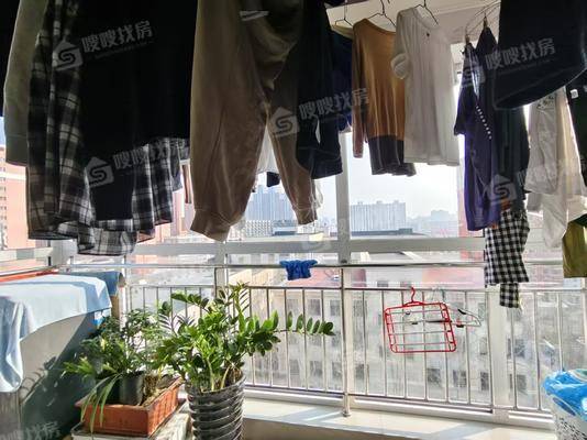 浮阳宜景3室2厅2卫133㎡