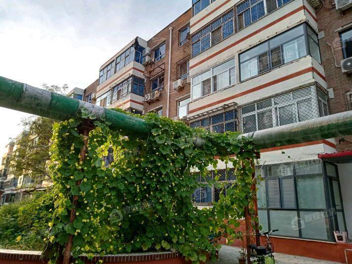 团结西区2室2厅1卫87㎡