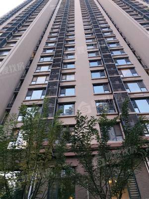 天成明月洲西区2室2厅1卫89㎡