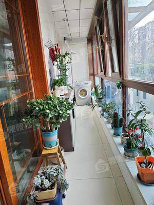 欣欣家园3室2厅2卫128㎡