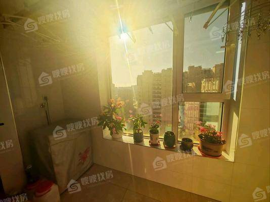 天成明月洲东区3室2厅1卫120㎡