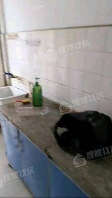 朝阳一区2室2厅1卫73㎡