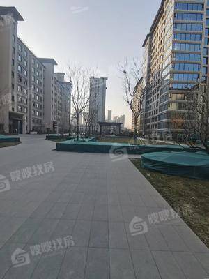 颐和碧桂园狮乘福第3室2厅2卫120㎡