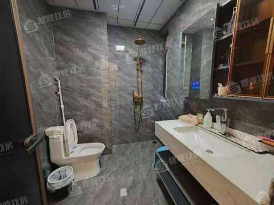 天成岭秀岭贤府2室2厅1卫94㎡