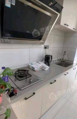 泰合星耀城2室1厅2卫41㎡