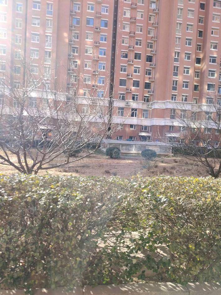 禧福荷堂D区2室2厅1卫103㎡