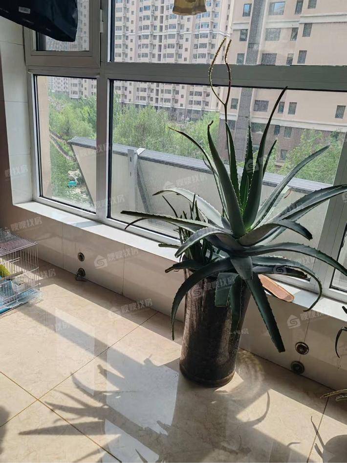 凤凰城（C区）3室2厅2卫135㎡