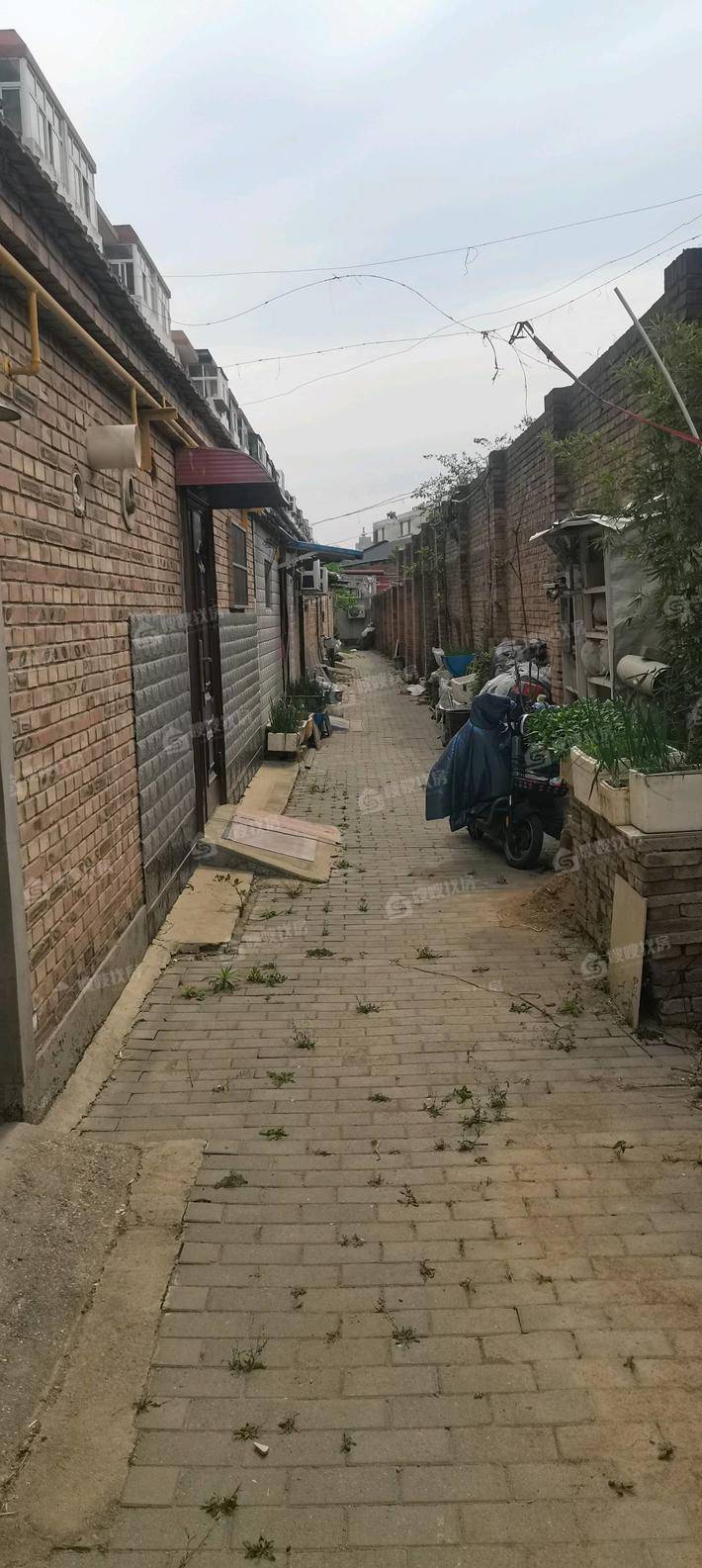 东塑家属区（东西院）3室2厅1卫83㎡