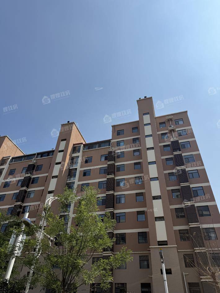 孔雀城B区2室2厅2卫108㎡
