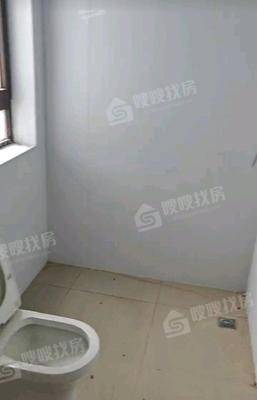 颐和碧桂园狮乘福第3室2厅2卫119㎡