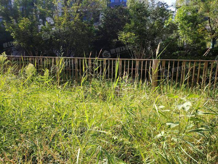天成澜湾西区3室2厅2卫146㎡
